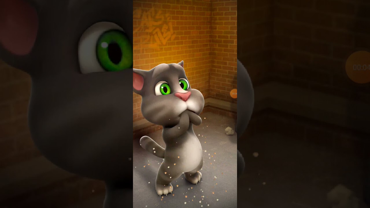 Talking Tom Cat New Video Best Funny Android GamePlay 