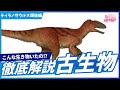 【古生物学】RPNP古生物学ニュース「2026年最新!ティラノサウルス上科編②」#恐竜 #化石 #解説