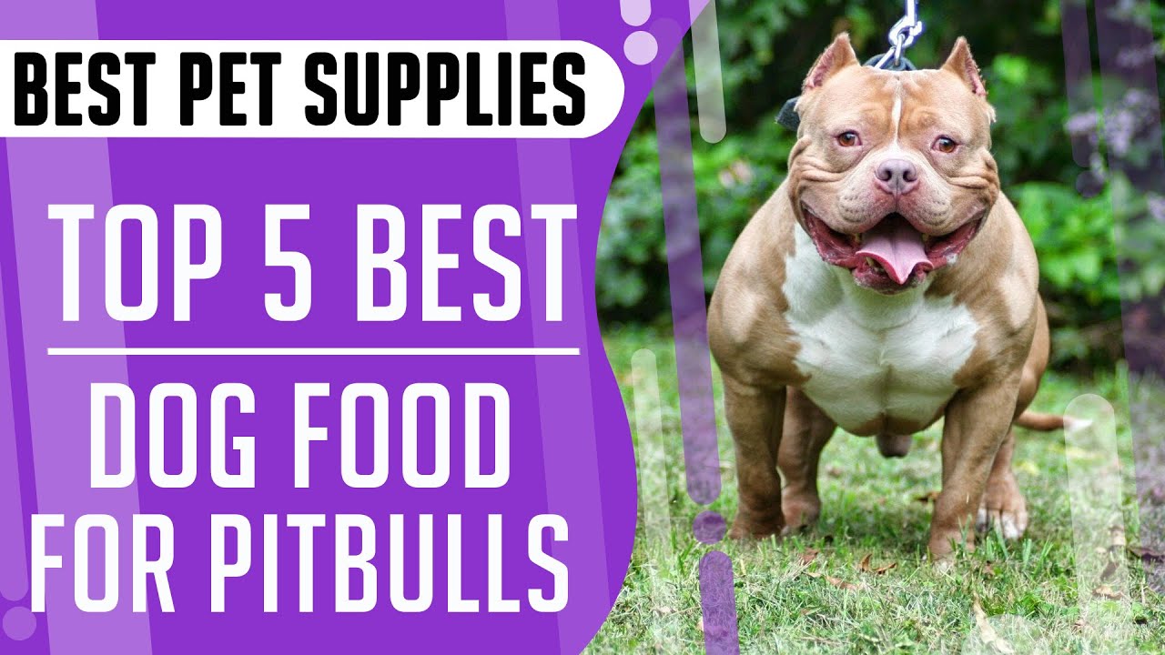 Top 5 Best Dog Food for Pitbull in 2020 - YouTube