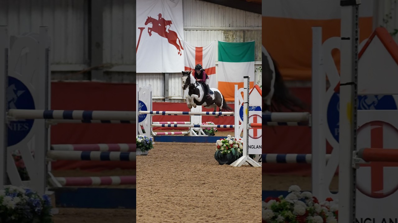 Arlo jumped incredible at English Home Pony🏴󠁧󠁢󠁥󠁮󠁧󠁿. #horse #showjumping #horseriding #pony
