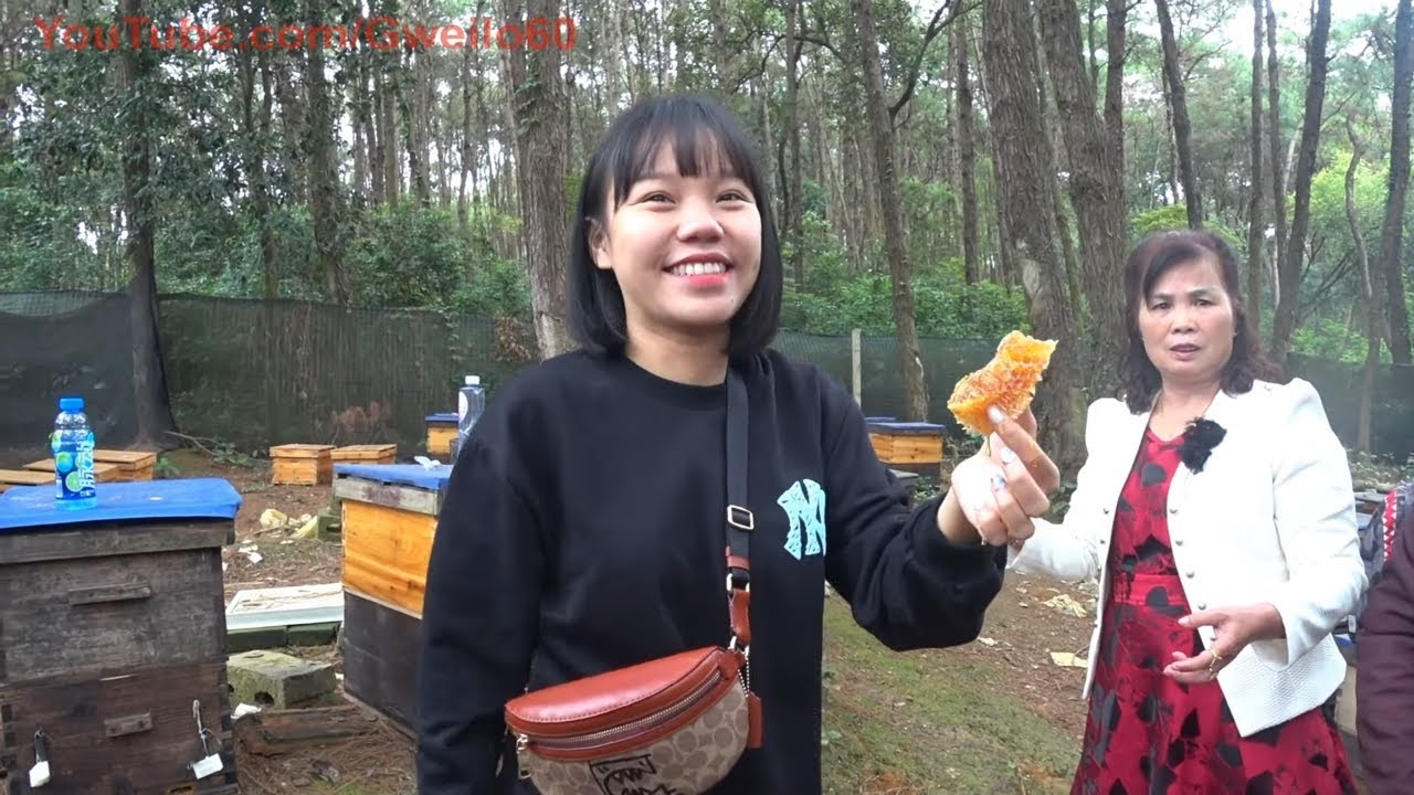 CHINESE HONEY TRAP YouTube chinese-honey-trap-youtube