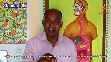 KITE Palakkad STD 7 Basic Science Episode 12 (First bell Tamil medium - பஸ்ட் பெல்)