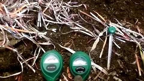 Worm Farming - Meters: Ph meter, moisture meter, temperature - 190415