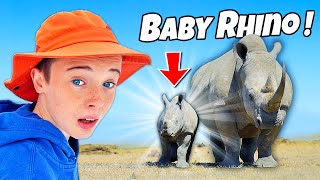 KIDS on SAFARI see BABY Rhino! Wild animal adventure in Africa!