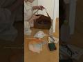 東京で一人暮らし。バッグの中はこんな感じ👜 MuoriのSuède Baguette Bagがお気に入り。