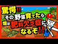 【要注意!】あなたの畑は欠乏状態!野菜を作った後に起こりやすい肥料欠乏症をまとめました!【アニメでわかる家庭菜園解説】