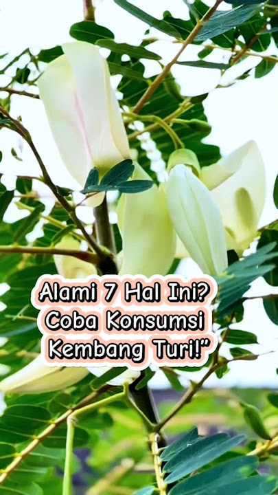 7 Amazing Benefits of Turi Flower That Are Rarely Known!!! #shorts #herbalmedicine #fyp