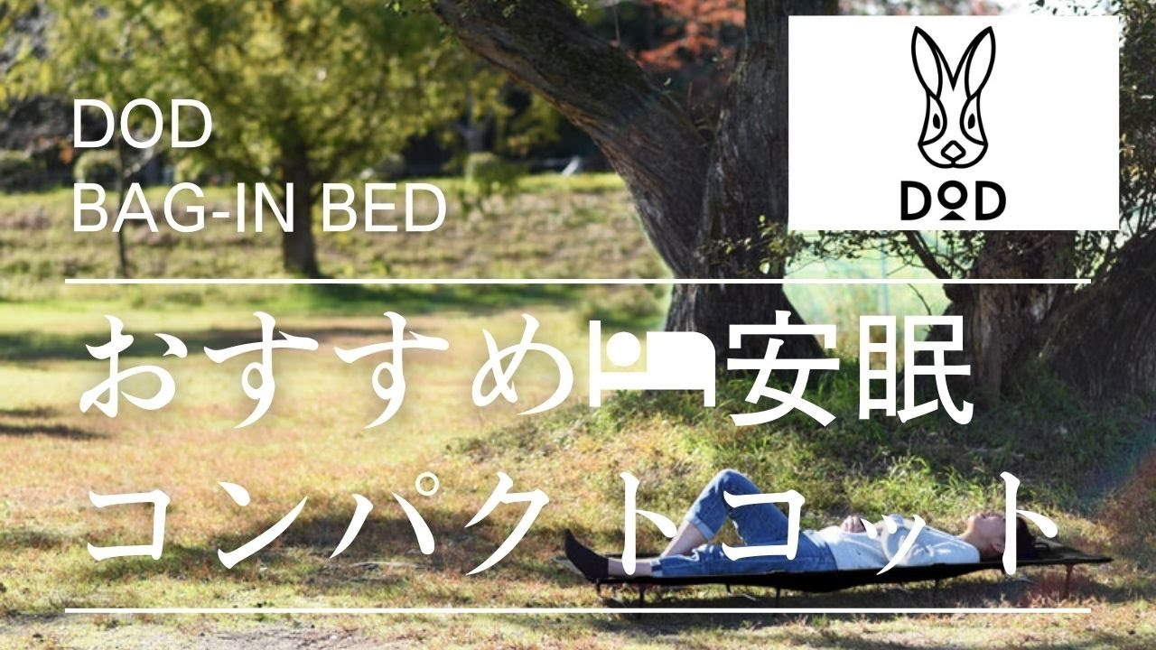 DOD』バッグインベッドレビュー🐰 - YouTube