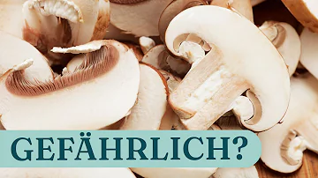 Kann man frische Pilze roh essen?