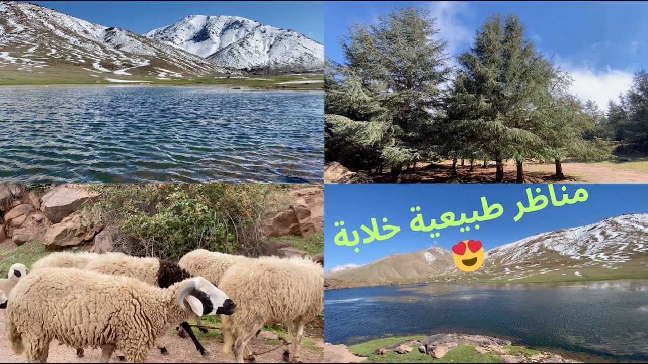 استكشاف أوكايمدن: تجربة فريدة مع فطور في قلب مراكش