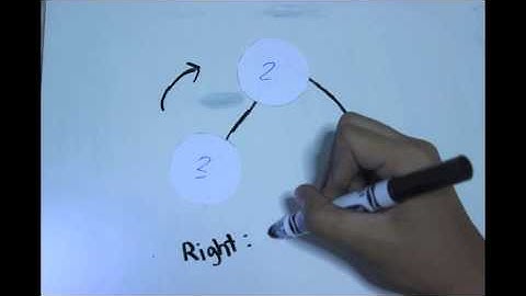 Insertion & Rotation of AVL Trees
