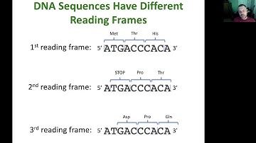13 Functional Genomics, Proteomics, and Bioinformatics Slides II