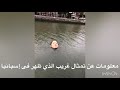 شاهد ظهور تمثال غريب وجه فتاة غرق في بحيرة اسبانيا