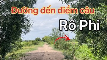 ✅Chia sẻ chi tiết đường đến điểm câu cá tự nhiên ở Tây Ninh có nhiều Rô Phi_Cá Tra🐟