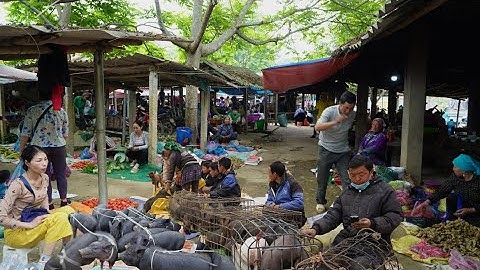 Chợ quê bên dòng sông chảy mộc mạc giản dị bình yên