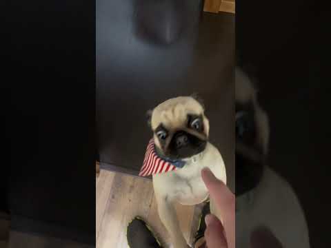 Pug-Synthesizer