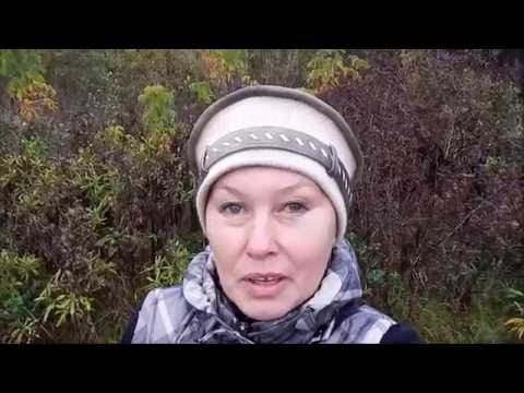 Бронхиальная астма с точки зрения натуропатии