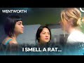 Peril Is All Around - Wentworth Season 5 Episode 9