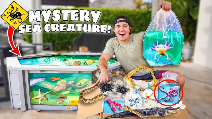 Buying Every STRANGE SEA CREATURE From The FISH STORE For My SALTWATER POND!! - DayDayNews