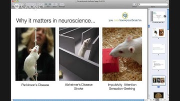 (2) Pop Up Neuroscience Session: Curiosity