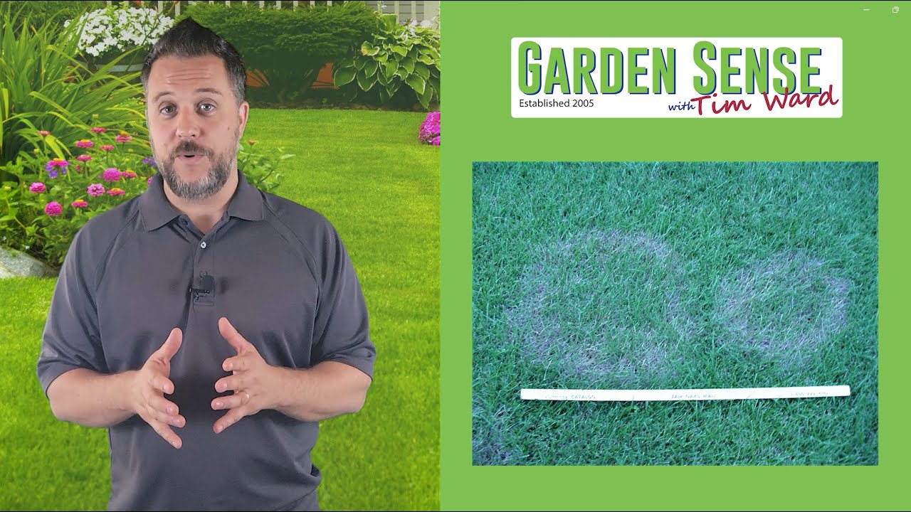 Garden Sense with Tim Ward 08.30.23 YouTube
