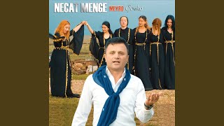 Meyro Şevko