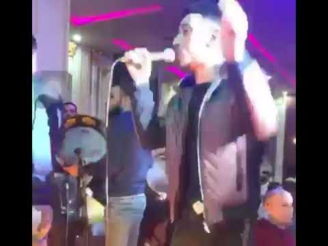افندينا مصر السيد حسن اتلم القرد علي النسناس قاعده يجيبوا في سيرتنا الناس روق