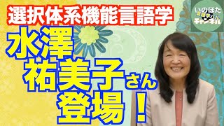 Systemic Functional Grammarはなぜ「選択体系機能言語学」と訳される
