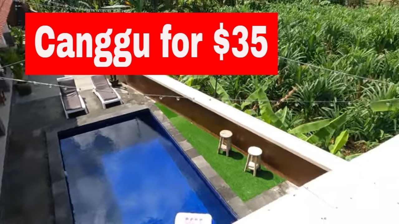 Bali on a Budget - Brand New Canggu Villa - Great Atmosphere, amazing  prices Wowkiss surf Hostel - YouTube