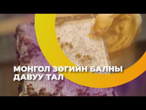 Видео: Зөгийн балны соустай бин