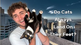 Download lagu Testing VIRAL TikTok Cat Trends!