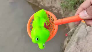 Memancing Ikan Hias, Ikan Koi, Ikan Mas, Ikan Nemo, Ikan lele, Ikan marlin, Ikan Badut