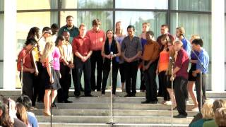 Skibbereen - Stanford Talisman Spring Show 2010