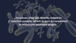Linking Diet, Lifestyle Telomere Length Insights From Nhanes Data Aging-Us