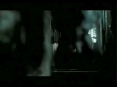 Bande annonce 'Black Sheep'