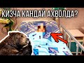 ТЕЗКОР ХАБАР / Онаси айик кафасига ташлаган кизнинг ахволи кандай? Янгиликлар 2022 бугунги #тезкор