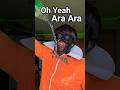 Oh Yeah! Ara Ara 😅 Brain Rot Vector Cosplay #shorts #comedy #despicableme #memes