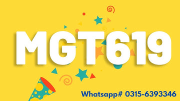 MGT619 final Project SP2024 mgt619