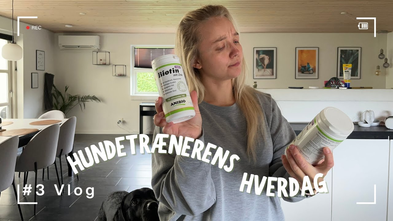 Biotin tilskud, hunden der fælder meget, reaktiv på cykler - Hundetrænerens hverdag #3