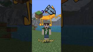 Minecraft Hidden Hytale Server Moment