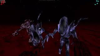 AVP Classic 2000 - Predator Side Skirmish - Gameplay screenshot 2