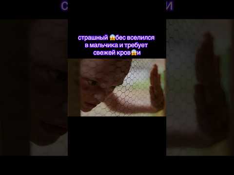 Голод не тетка В лес не убежит😅 #фильмышортс #shorts #топфильмов #фильмы #ужасы #новинки2025