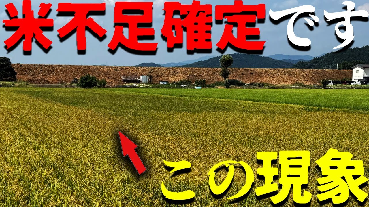 農業の現場では国民が知らない大変なことが起きています