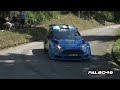 52° Rally del Friuli Venezia Giulia 2016 - Pure Sound [HD]