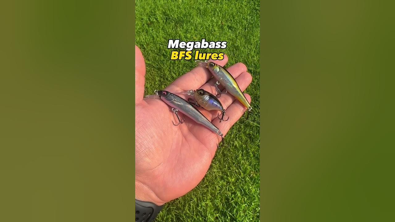 NEW MegaBass Micro BFS Lures! 