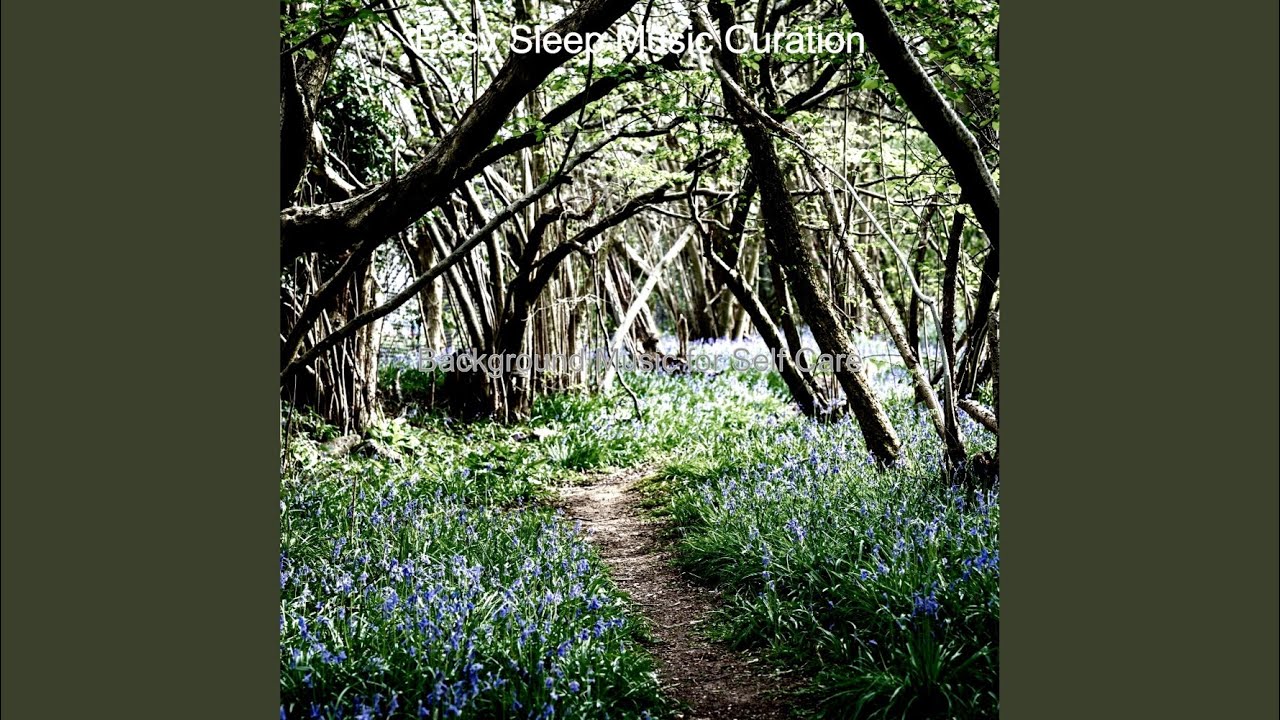 Serene Backdrops for Sleep Therapy