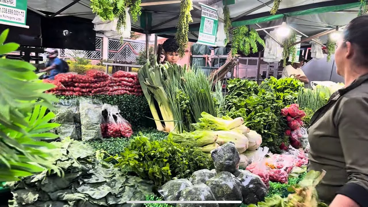 FEIRA DO SETOR GOIÂNIA II - GOIÂNIA GOIÁS 