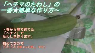 ヘチマたわしの作り方と効果は 用途別の使い方も詳しく解説 素敵女子の暮らしのバイブルjelly ジェリー