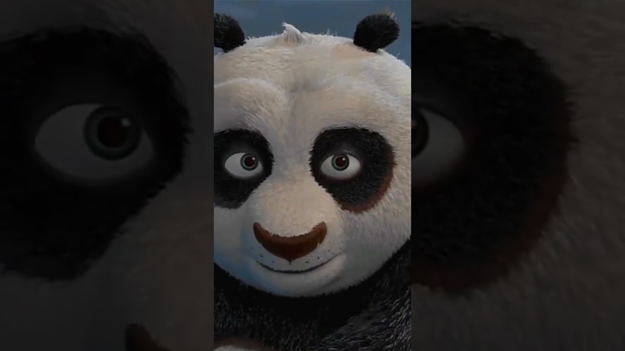 kungfu panda 🐼#panda #peace
