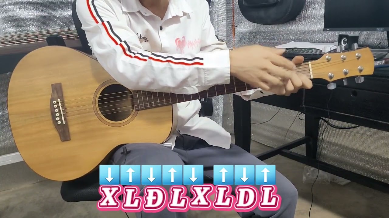 qhia 3 hom điểu Dicsco zoo heev rau koj